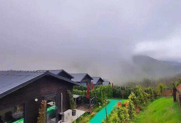 Benim Yeşil Bahçem Sapanca - Görsel 20