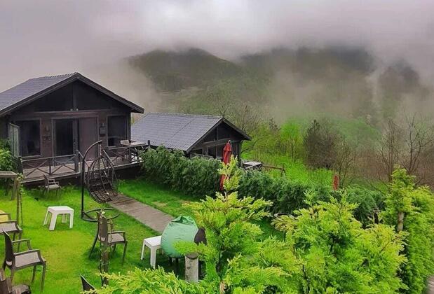 Benim Yeşil Bahçem Sapanca - Görsel 21