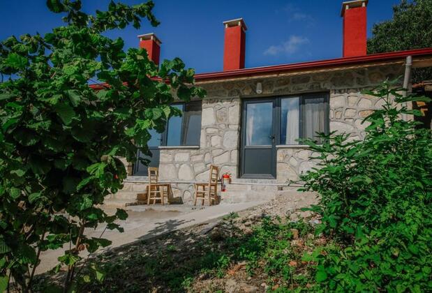 Ağva Kilimli Bungalow - Görsel 9