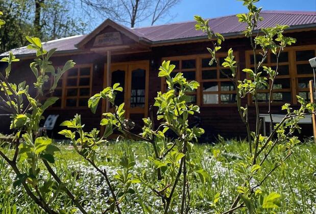 Borçka Dere Pansiyon - Görsel 5