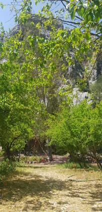 Aso Camping - Görsel 4