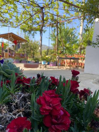 Kapukargın Apart Villa - Görsel 10