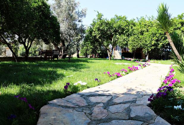 Patara Deluxe Ferah Hotel - Görsel 35