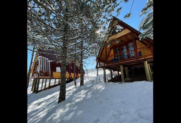 Fikri Atalay Konağı Bungalow Evleri (Bolu Mengen) - Görsel 6