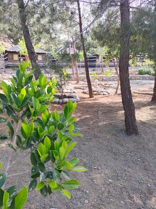 Durusu Çiftlik Evleri & Camping - Görsel 3