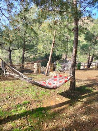 Durusu Çiftlik Evleri & Camping - Görsel 5