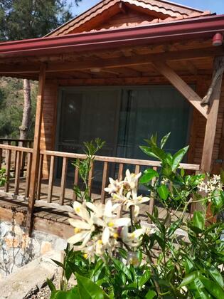 Durusu Çiftlik Evleri & Camping - Görsel 14