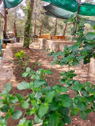 Durusu Çiftlik Evleri & Camping - Görsel 26