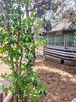 Durusu Çiftlik Evleri & Camping - Görsel 28