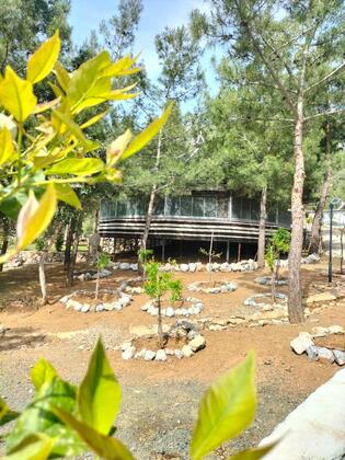 Durusu Çiftlik Evleri & Camping - Görsel 30