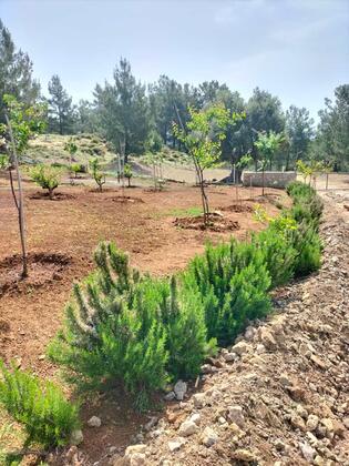 Durusu Çiftlik Evleri & Camping - Görsel 49