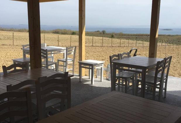 Pelin Inn Ada Evi - Görsel 27