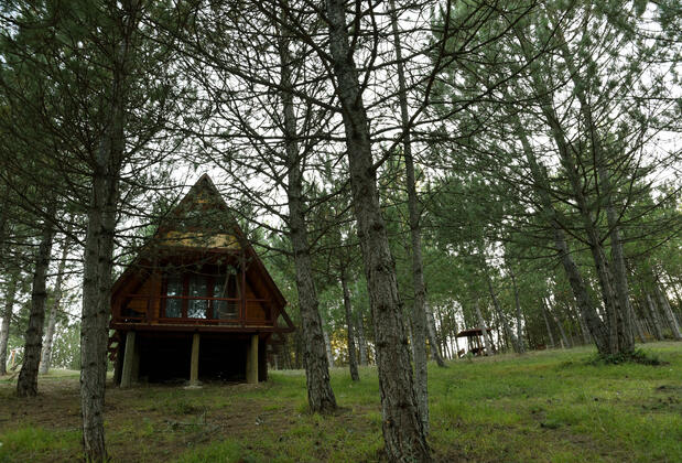 Fikri Atalay Konağı Bungalow Evleri (Bolu Mengen) - Görsel 9