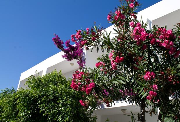 Şahbaz Otel - Görsel 3