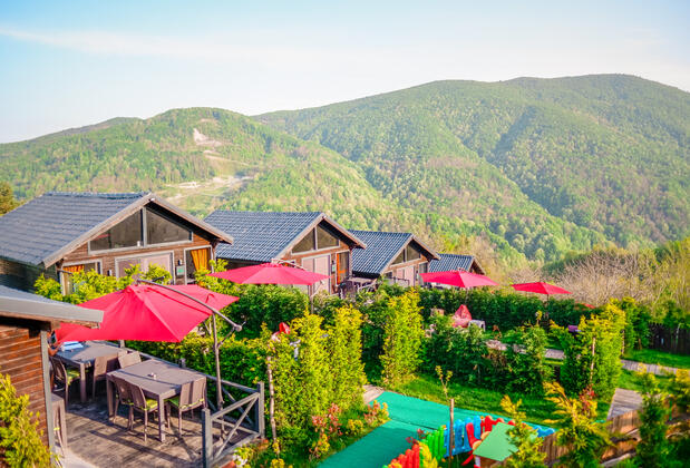 Benim Yeşil Bahçem Sapanca - Görsel 24