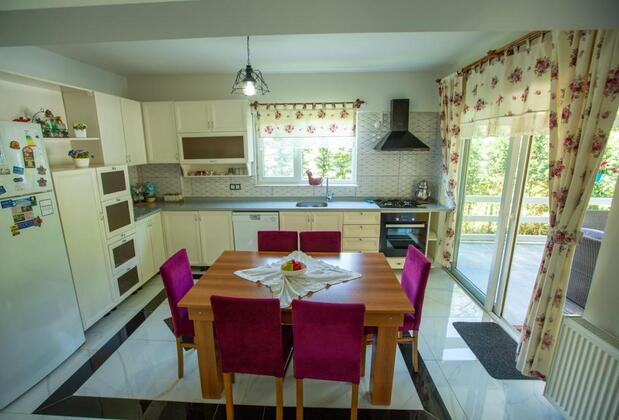 The Doctors House Sapanca - Görsel 5