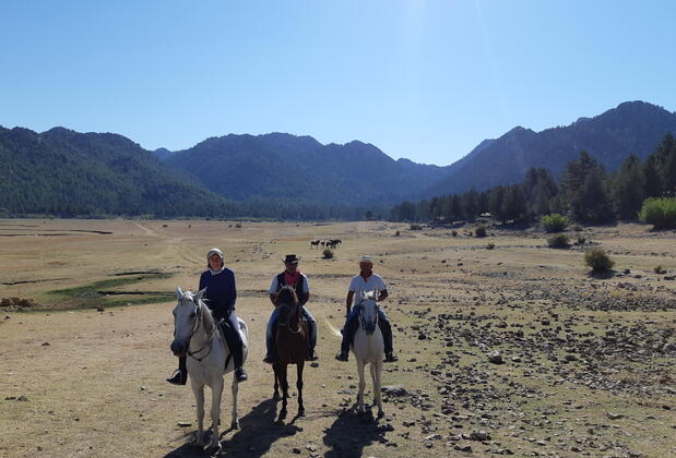 Ali Paşa Konağı - Görsel 39