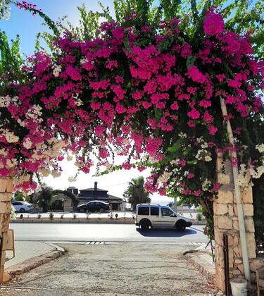 Davut Apart Hotel - Görsel 9