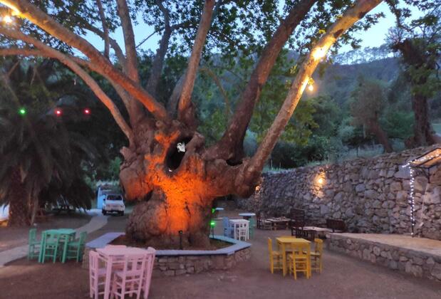 Bay Kiana Holiday Village - Görsel 6