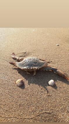 Davut Apart Hotel - Görsel 19