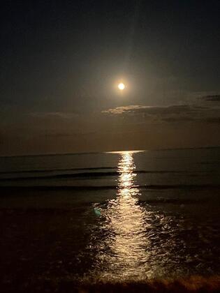 Davut Apart Hotel - Görsel 21