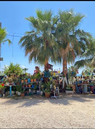 Davut Apart Hotel - Görsel 26