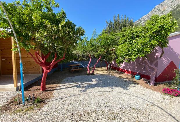 Adrasan Yörük Obası Camping & Bungalow - Görsel 17