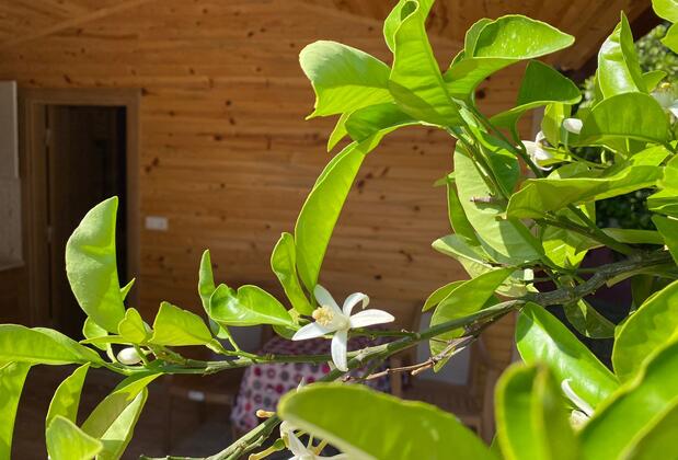 Adrasan Yörük Obası Camping & Bungalow - Görsel 18