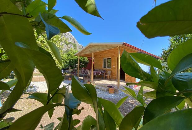 Adrasan Yörük Obası Camping & Bungalow - Görsel 22