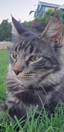 Dolphin Boutique Hotel Burdur - Görsel 22