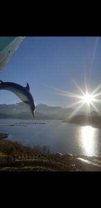 Dolphin Boutique Hotel Burdur - Görsel 23