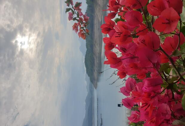 Dolphin Boutique Hotel Burdur - Görsel 28