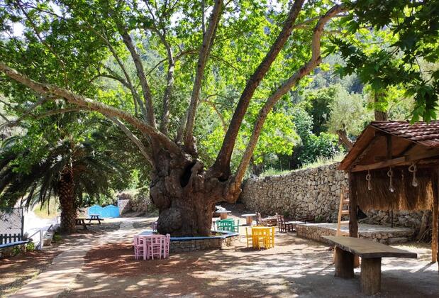 Bay Kiana Holiday Village - Görsel 11