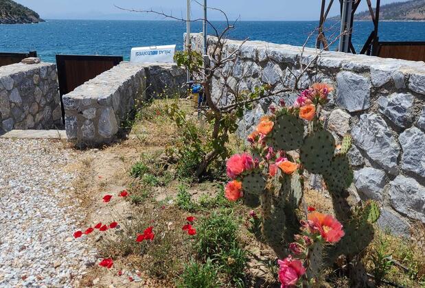 Harmoni Apart Villa - Görsel 11