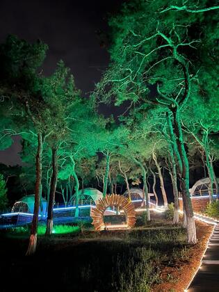 Büyükada Glamping - Görsel 16