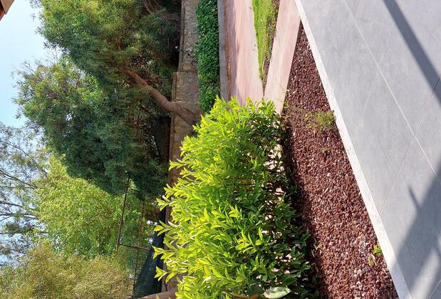 Palmiyem Apart Otel - Görsel 4