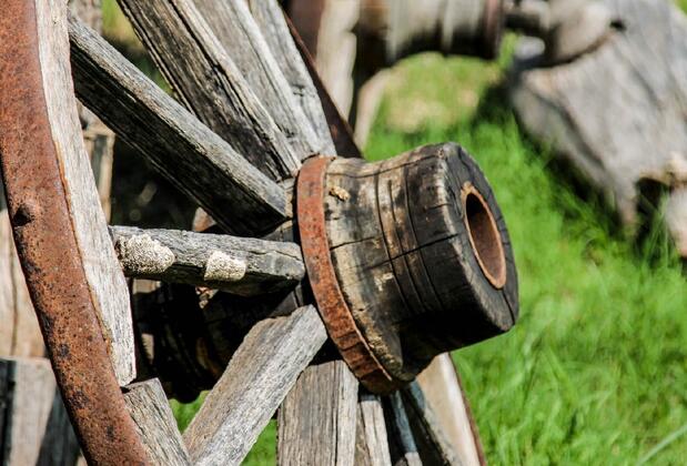 Assos Longevity Hotel (+12) - Görsel 11