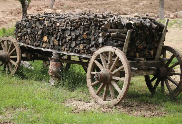 Assos Longevity Hotel (+12) - Görsel 13