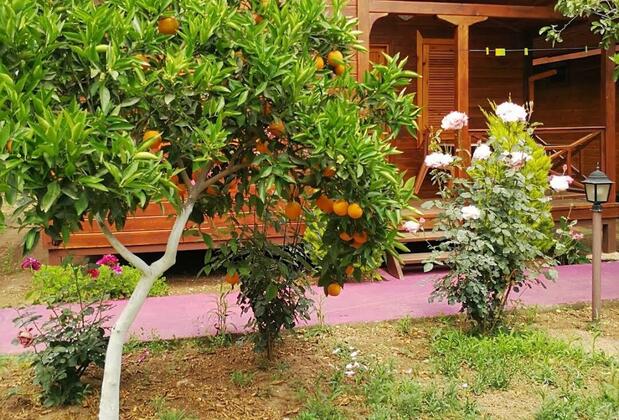 Sahil Pansiyon Çıralı - Görsel 13