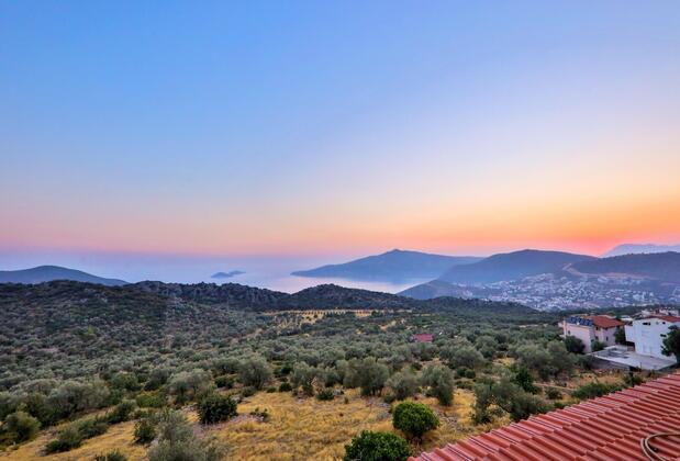 Flower Garden - Görsel 25