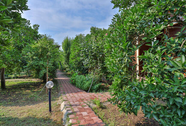 Çırala Sunrise Bungalow  - Görsel 34