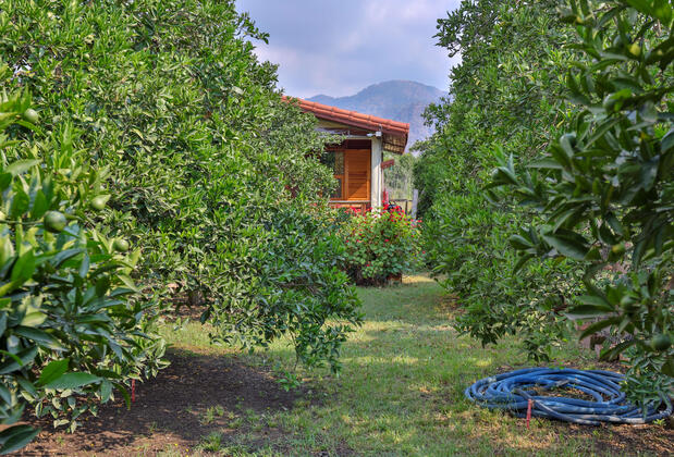 Çırala Sunrise Bungalow  - Görsel 36