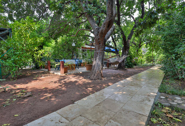 Çırala Sunrise Bungalow  - Görsel 38