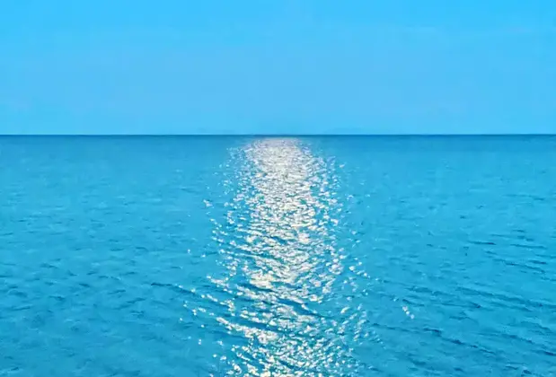 Rüzgar Camping Balık Restaurant - Görsel 14