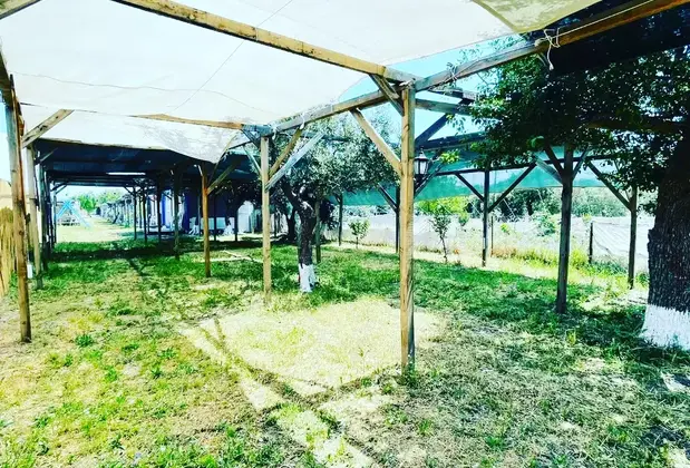 Rüzgar Camping Balık Restaurant - Görsel 21