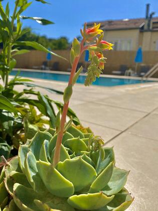 Cennet Hotel - Görsel 24