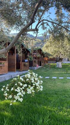 Zytun Bungalows Assos - Görsel 8