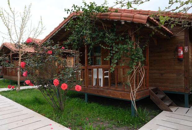 Çıralı Natural Life - Görsel 15