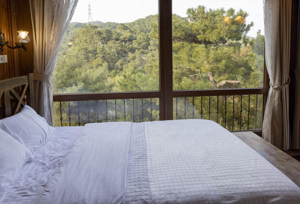 Erguvanlı Ev - Görsel 17