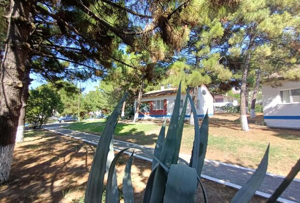 Adra Club Apart Pansiyon Tatil Evleri  - Görsel 5